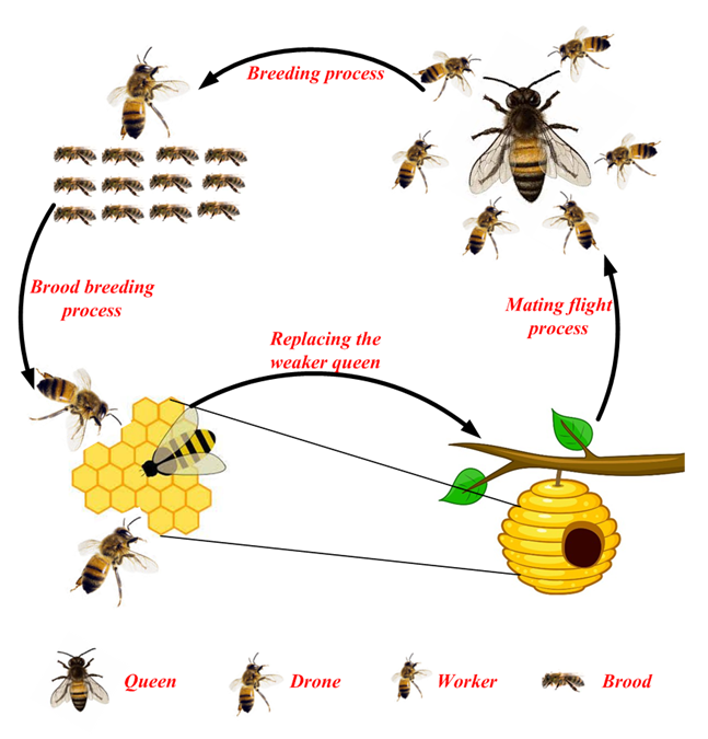 Bee Breeding Brilliance: Dive Into The Genetics Of Honeybees!