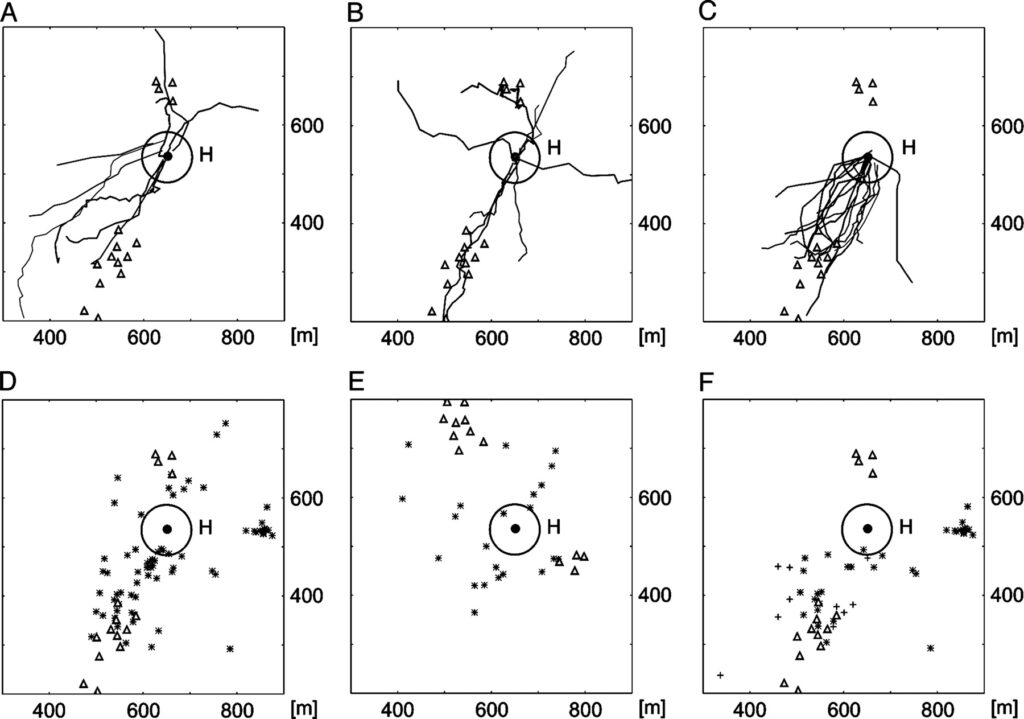 Bee Navigation: Unraveling The Mystery Of Foraging Patterns!