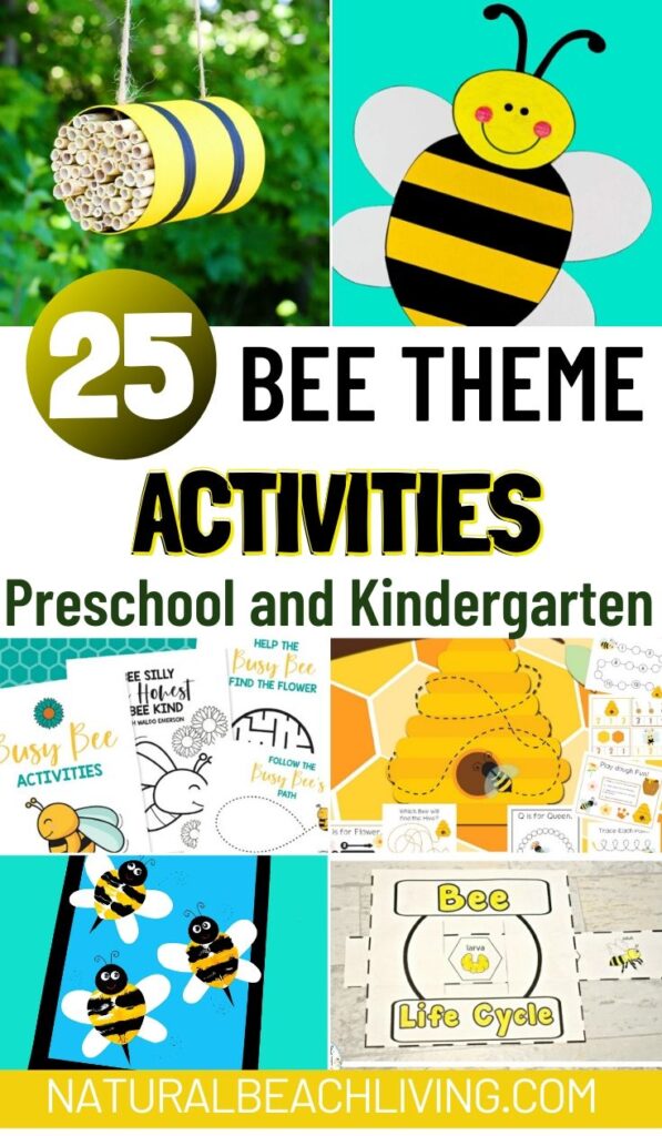 Bee Ready For Spring: Activities To Kickstart Your Hive!