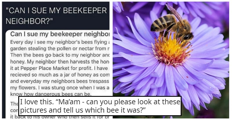 Can I Sue My Beekeeper Neighbor?