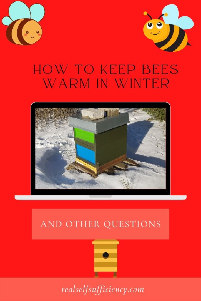 Cold Weather Care: Ensuring Your Bees Thrive Through Winter!