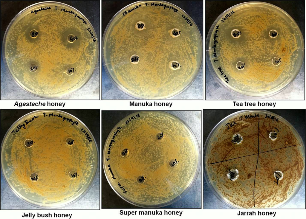 Does Manuka Honey Kill Fungus