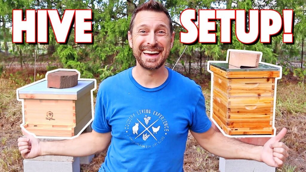 First Hive Frenzy: Steps To Setting Up Like A Pro!