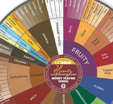 From Different Corners: How Geography Shapes Honeys Flavor Profile