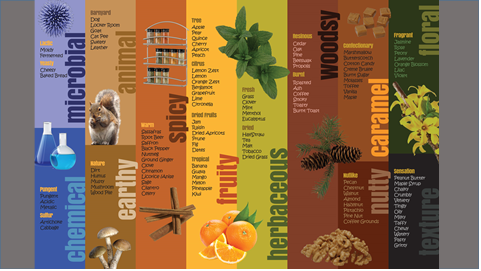 From Different Corners: How Geography Shapes Honeys Flavor Profile