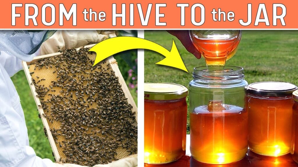 From Hive To Glass: Honeys Journey In Beverages!