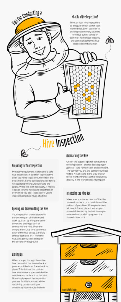 Hive Health Checks: Routine Inspections Every Beekeeper Must Do!