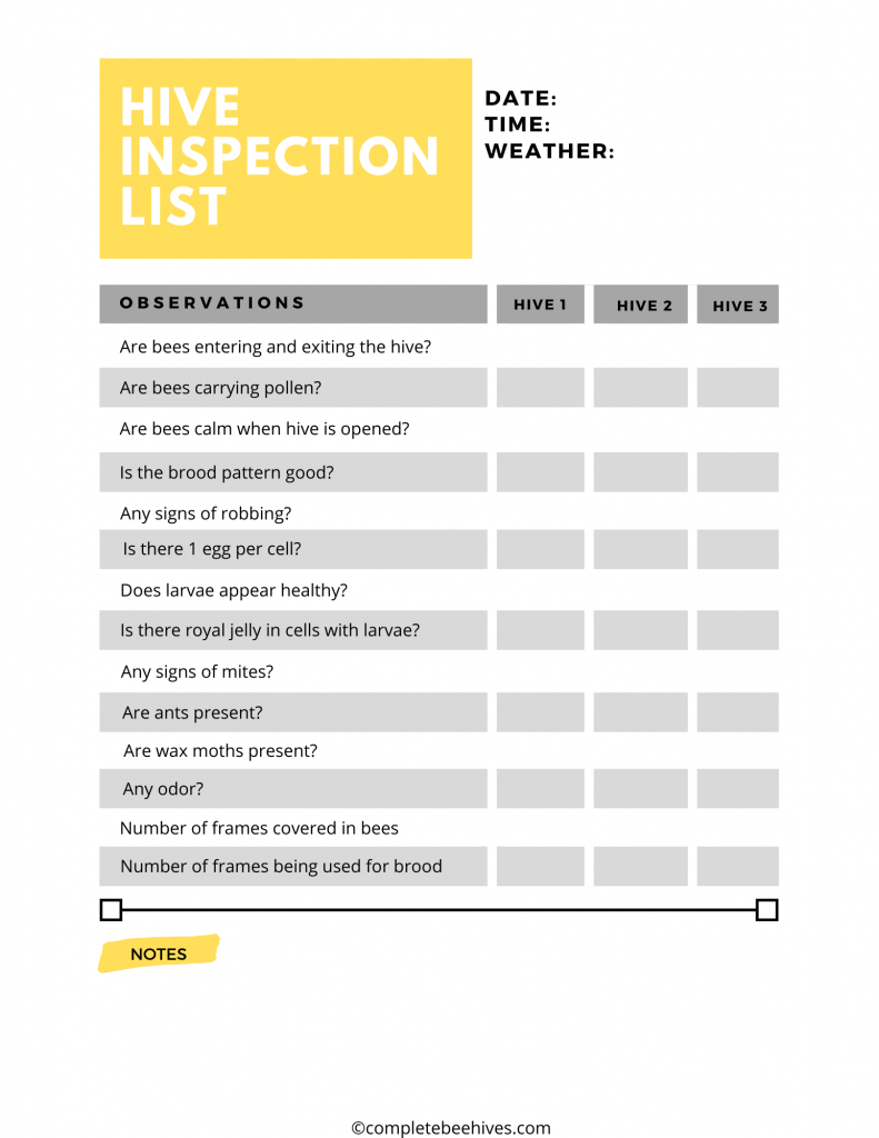 Hive Health Checks: Routine Inspections Every Beekeeper Must Do!