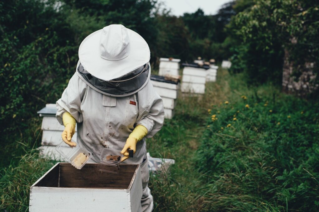 How Labor Intensive Is Beekeeping?