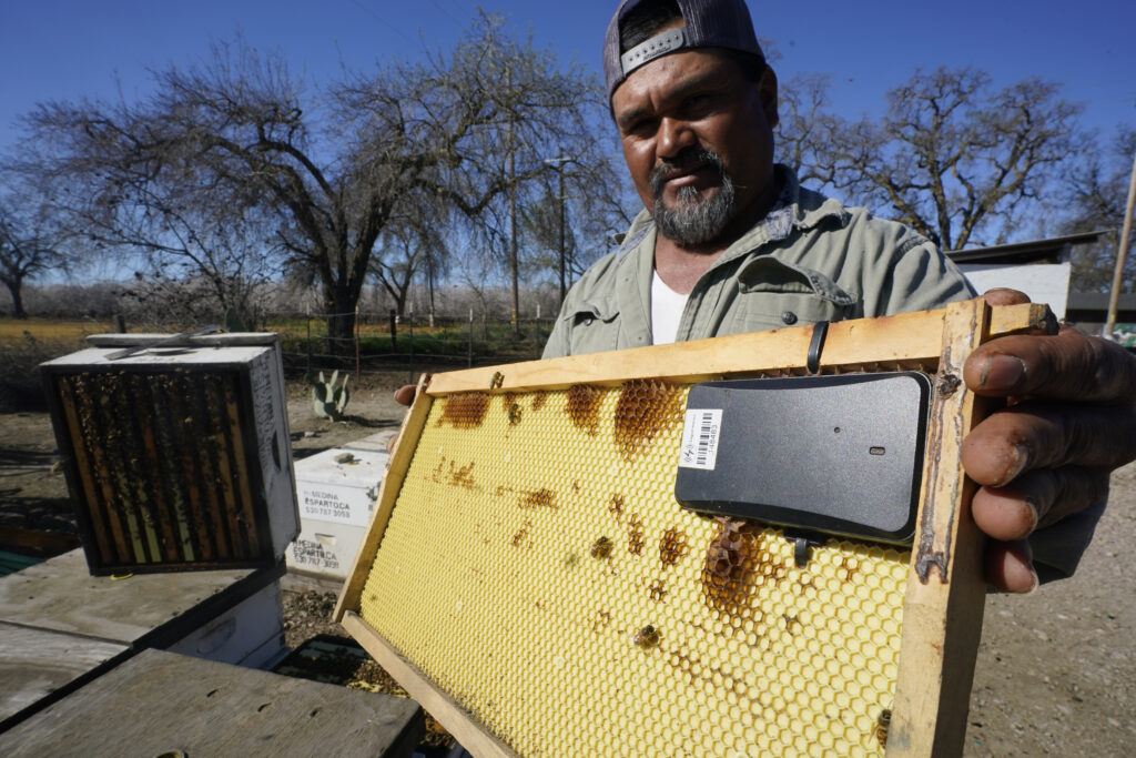 How Much Do Beekeepers Pay To Rent Land?