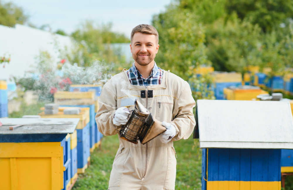 How Much Does It Cost To Start Beekeeping?