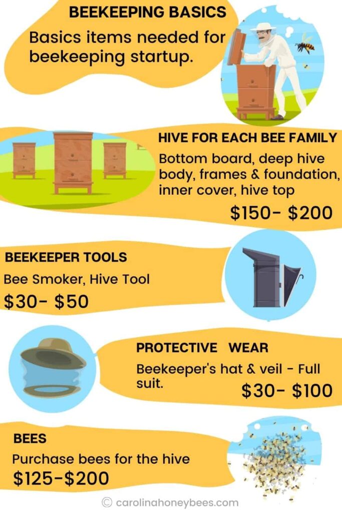 How Much Does It Cost To Start Beekeeping?