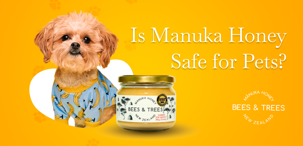 How Much Manuka Honey For Dogs