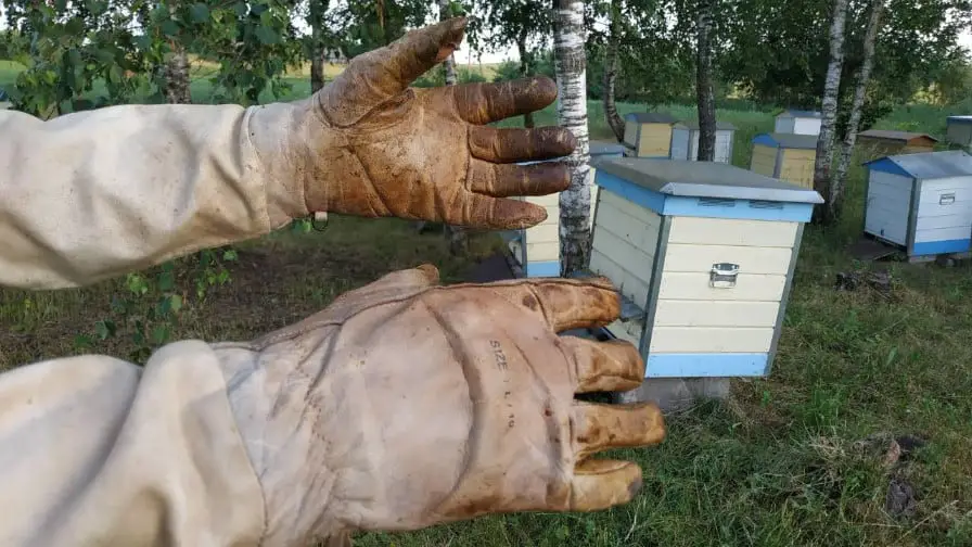 How To Clean Beekeeping Gloves?