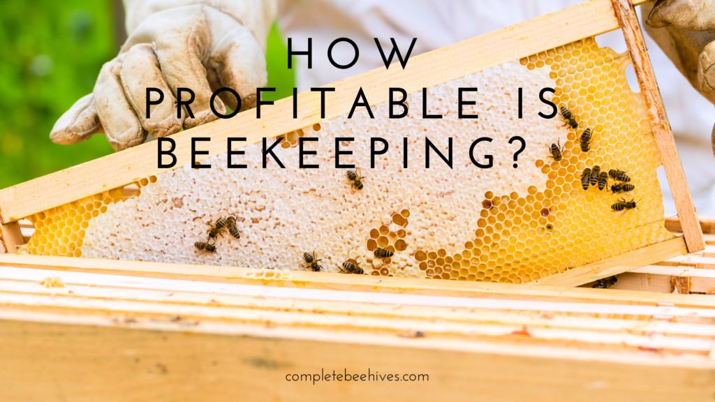 Is Beekeeping Profitable?