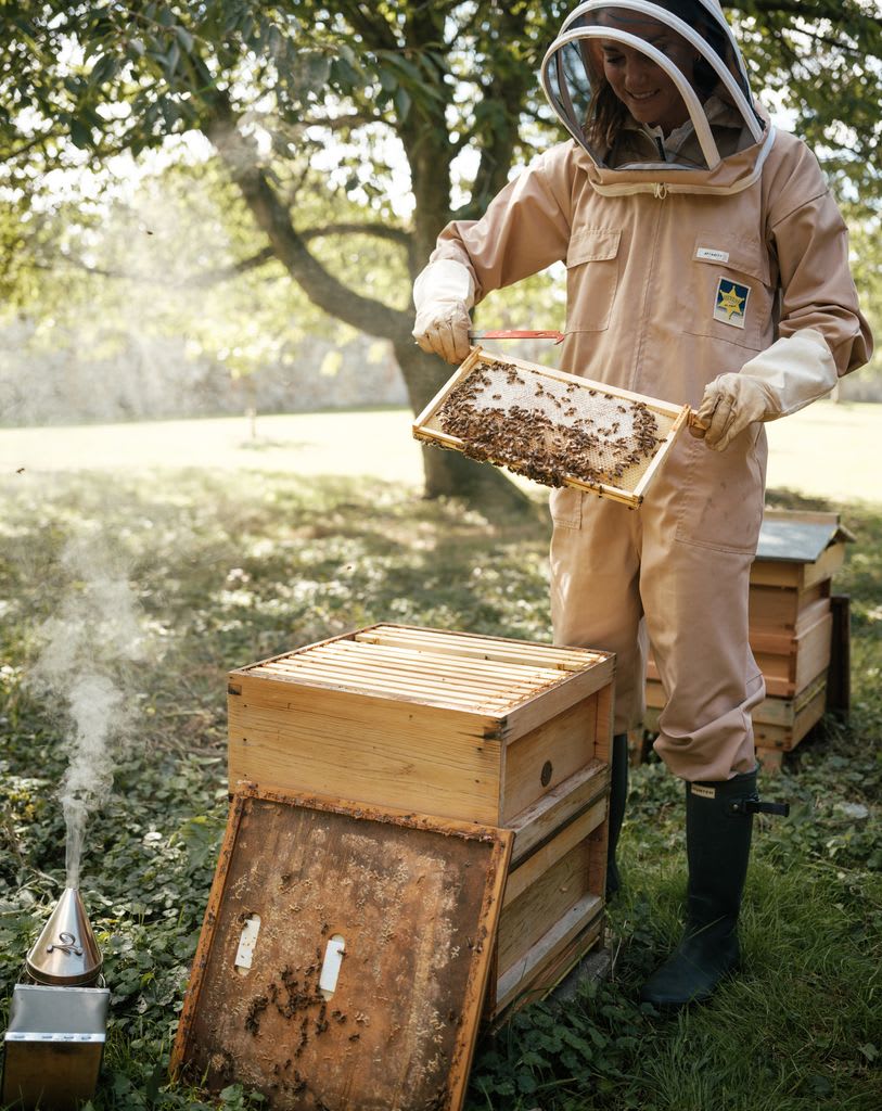 Princess of Wales tends beehive on World Bee Day