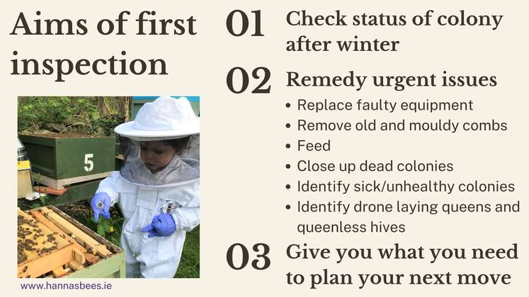 Spring Into Action: Essential Beekeeping Tasks For The Season!