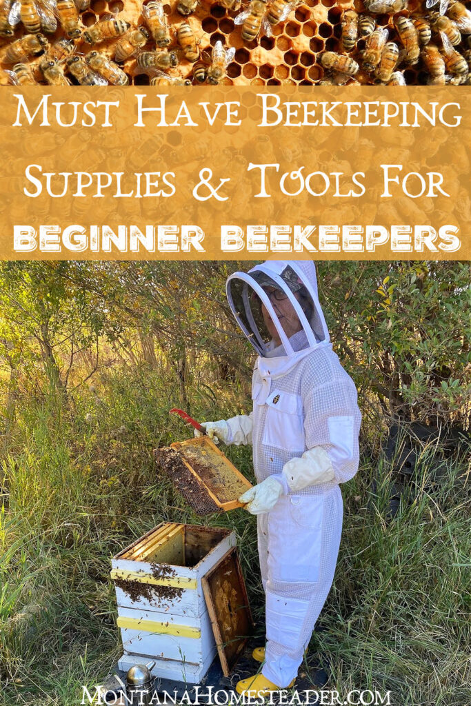 Starting Strong: Top Equipment Choices For Aspiring Beekeepers!
