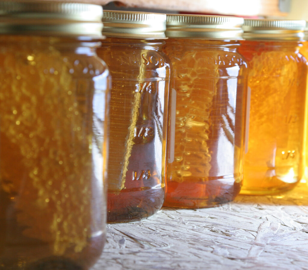 Store Like A Pro: Best Containers To Keep Your Honey Fresh!