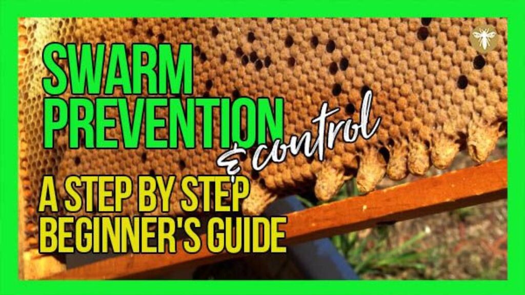 Swarm Alert: Proven Techniques To Control And Prevent Bee Swarms!