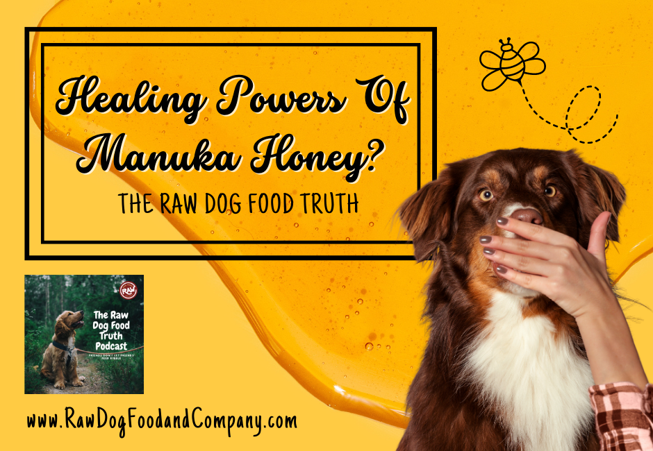 The Benefits of Manuka Honey for Dogs