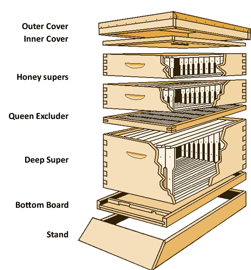 What Is A Super In Beekeeping?