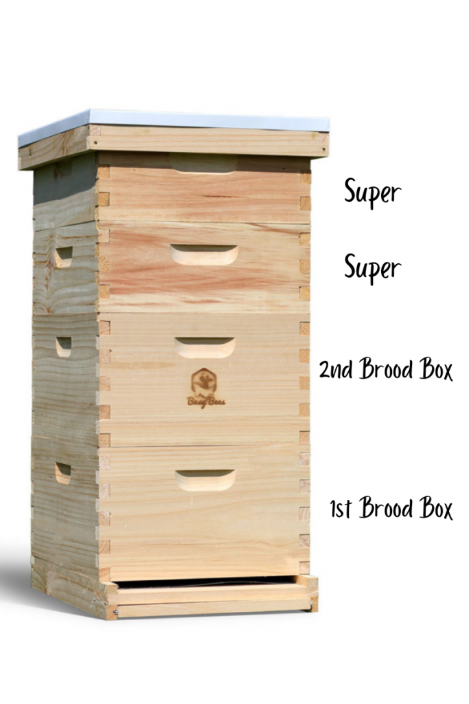What Is A Super In Beekeeping?