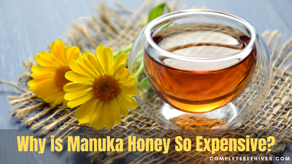 Why Is Manuka Honey Expensive