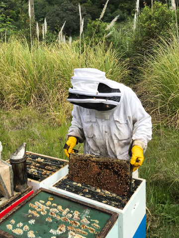 Beekeeping For Sustainability: How Bees Can Save Our Ecosystem