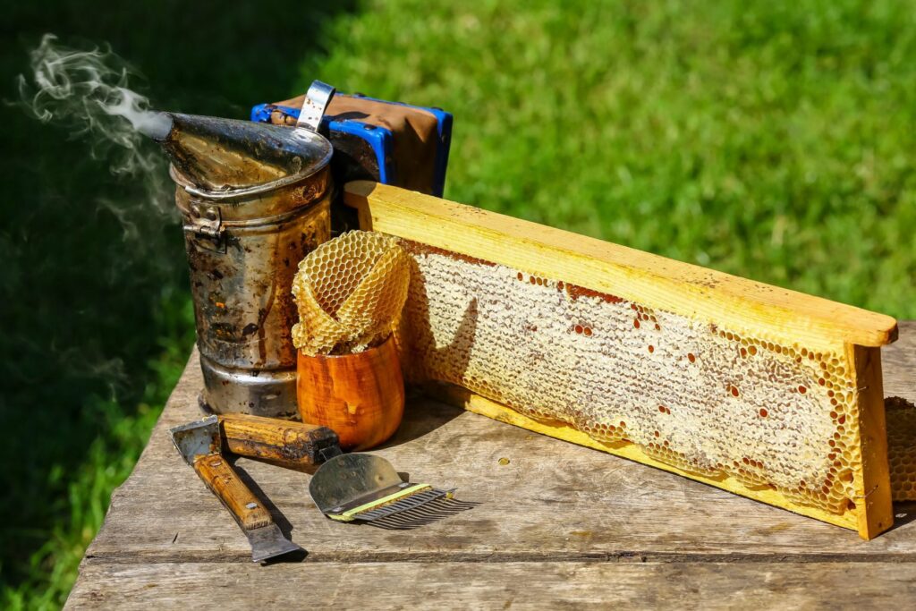 Beekeeping On A Budget: Affordable Tools And Techniques For Newbies