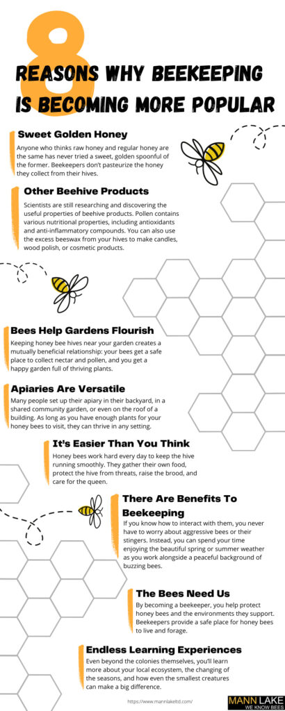 Beyond Honey: Exploring The Many Products Of A Thriving Beehive