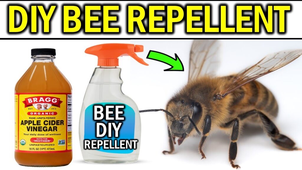 How To Get Rid Of Bees Without Killing Them?