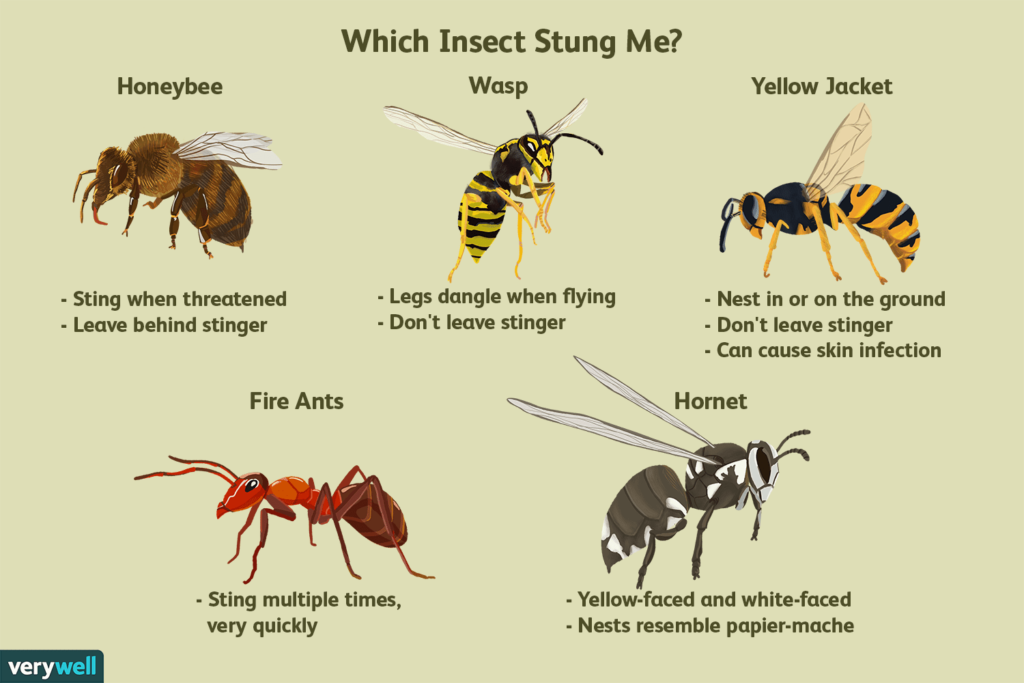 How To Prevent Bees From Stinging Me?
