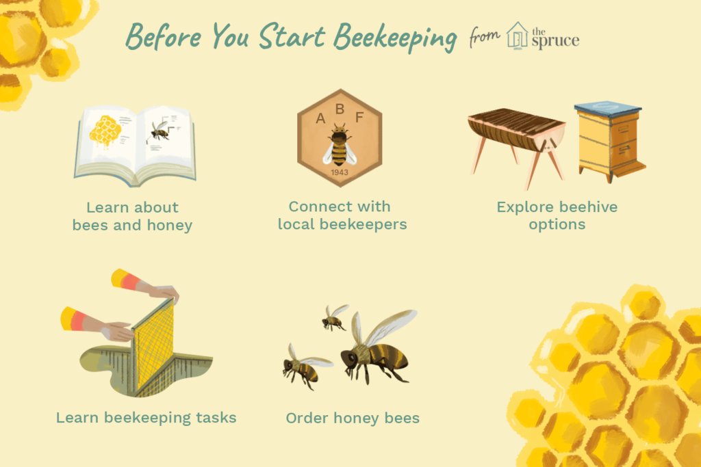 How To Start Beekeeping In A Small Space?