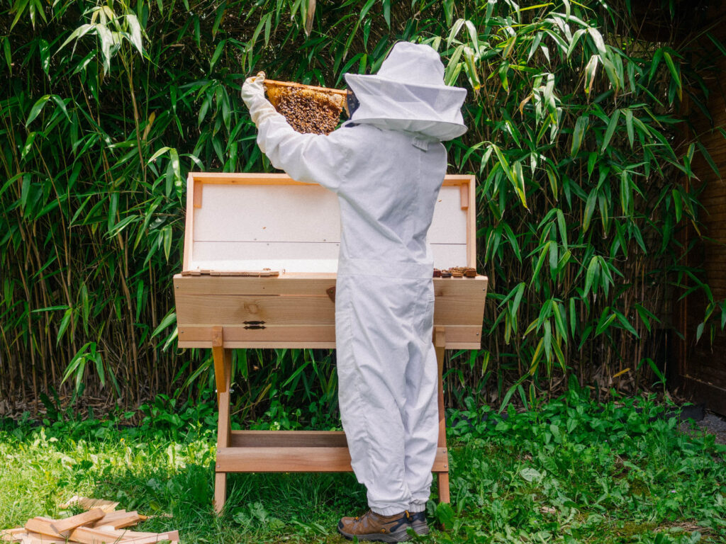 How To Start Beekeeping In A Small Space?