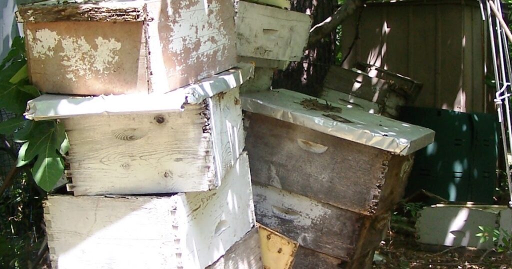 How To Tell If A Beehive Is Abandoned?