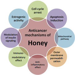 Is Manuka Honey Good For Prostate Cancer