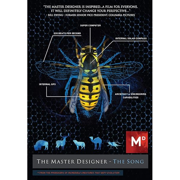 The Intricate Design: Understanding The Bees Body Blueprint