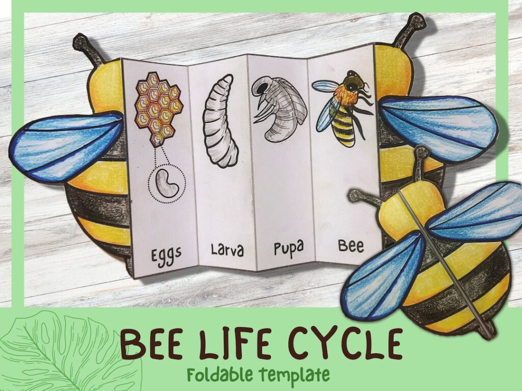 The Intricate Design: Understanding The Bees Body Blueprint