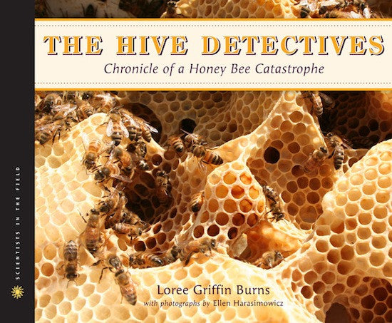 The Secret Life Of Bees: Unveiling The Mysteries Of The Hive