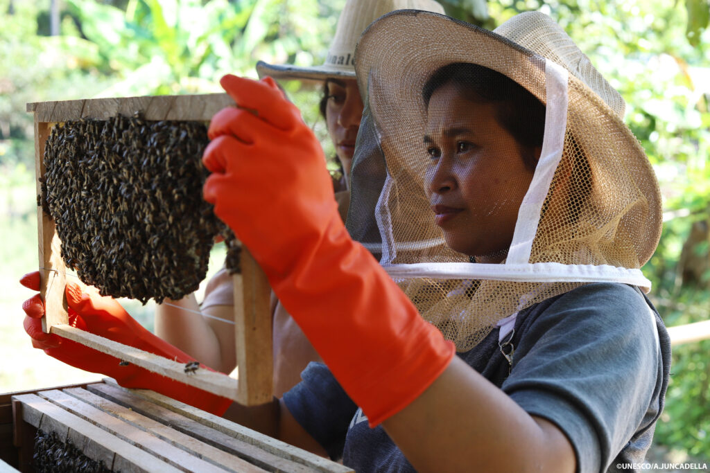 UNESCO and Cambodia commemorate World Bee Day