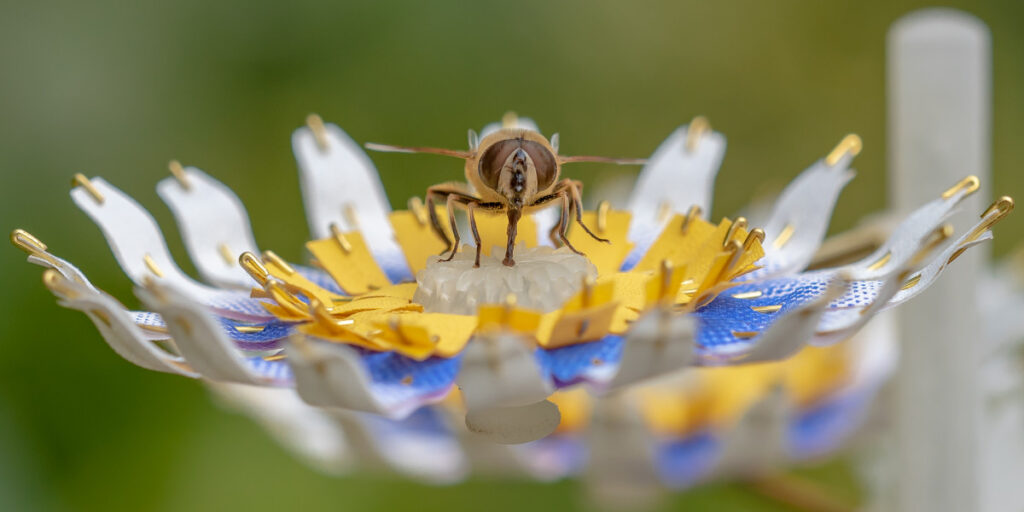 Unveiling The Bee: A Deep Dive Into Natures Tiny Engineer