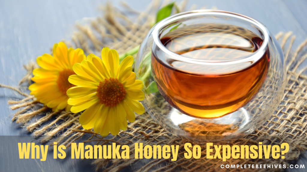Why Is Manuka Honey More Expensive