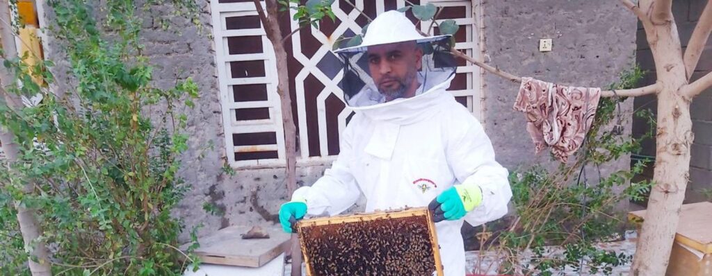 World Bee Day: Promoting Sustainable Agricultural Practices and Bee Awareness